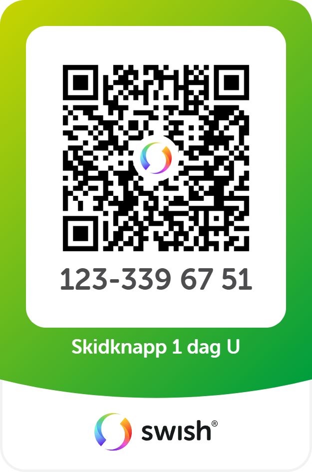Skidknapp 1 dag ungdom 90 kr 2027